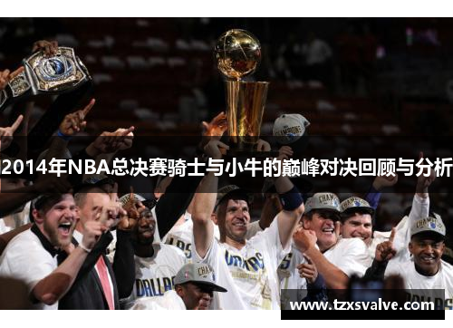 2014年NBA总决赛骑士与小牛的巅峰对决回顾与分析
